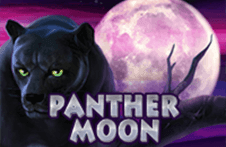 Демо автомат Panther Moon